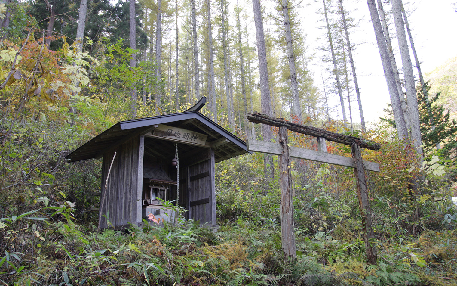 遠野遺産を巡ろう ~まだ知らない遠野に出会う”歴史の道”~
