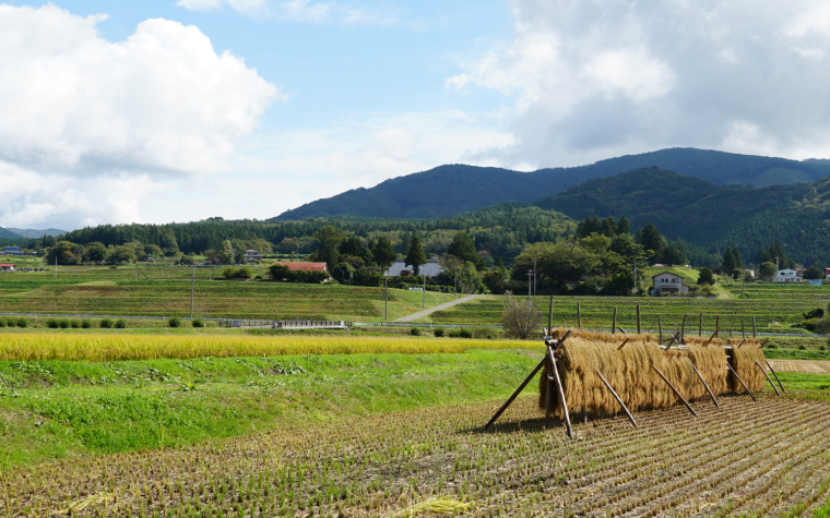 宮守の棚田(正式名称 旧宮守棚田)
