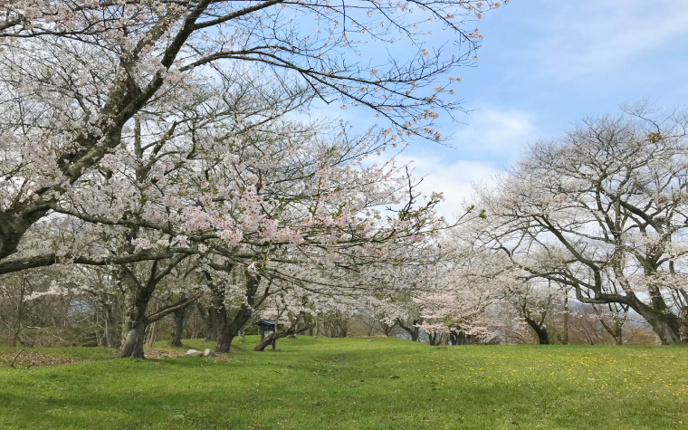 鍋倉城址(鍋倉公園)