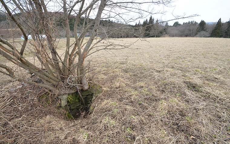 神の使いか、不吉の兆しか?本当の「座敷わらし」の姿に迫る!