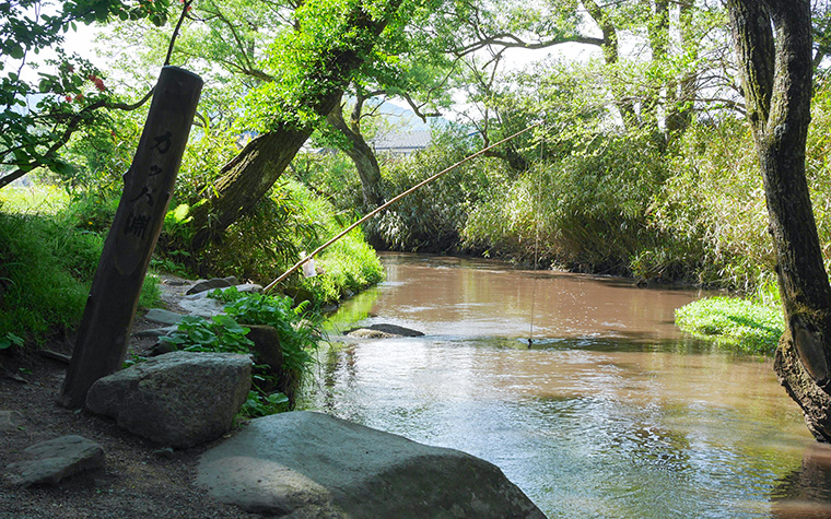 ホップの一大産地・遠野で楽しむ夏のイベント&グルメ旅