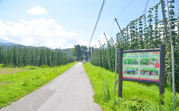 ホップの一大産地・遠野で楽しむ夏のイベント&グルメ旅