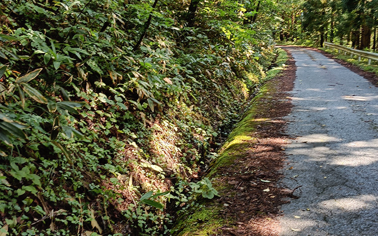 高清水展望台までの道のり