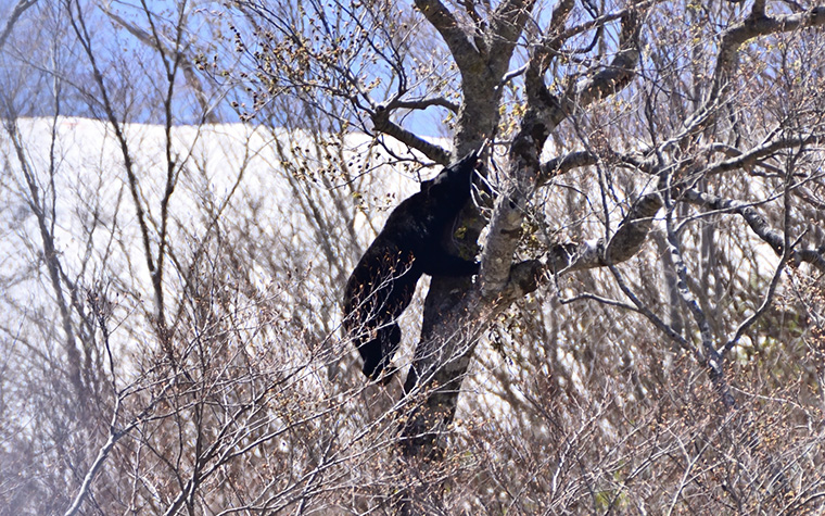 遠野旅行を安心して楽しむために