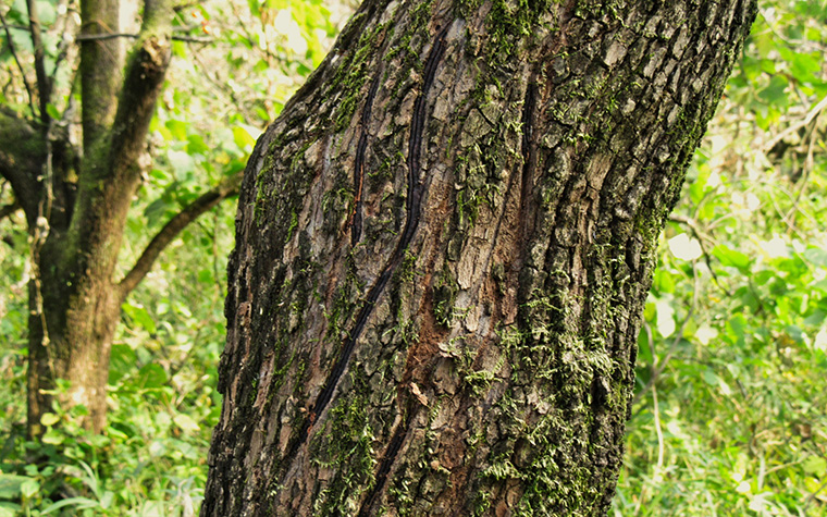 遠野旅行を安心して楽しむために