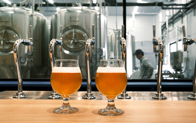 とれたてホップの季節に。ホップの香りと味わう、遠野の秋