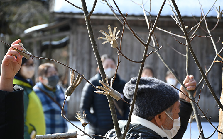 新年の遠野 ― 大正月から小正月への冬の祈り